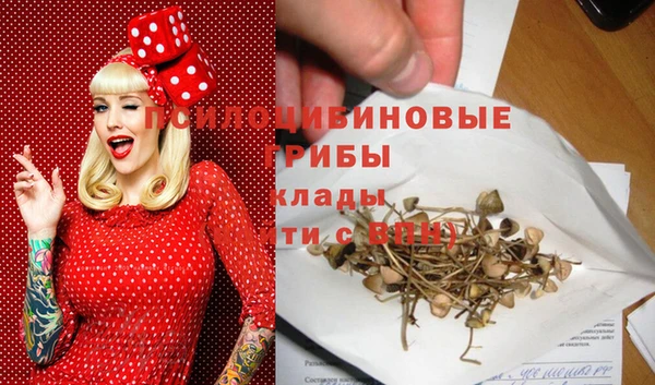 мет Аркадак