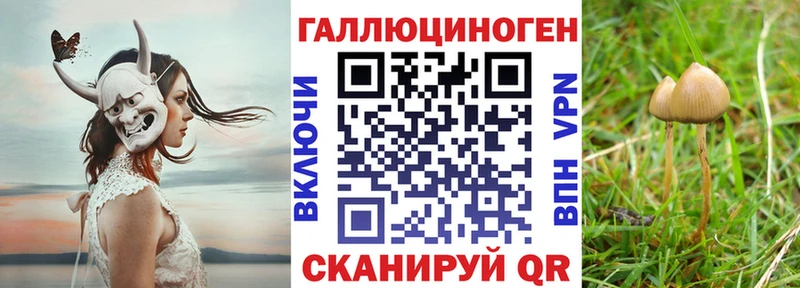 Галлюциногенные грибы прущие грибы  МЕГА вход  Рошаль 
